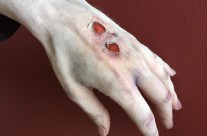 Zombie hand